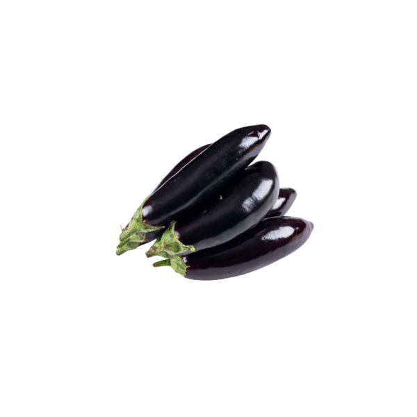 Aubergine