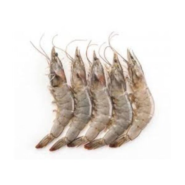 Crustacés frais